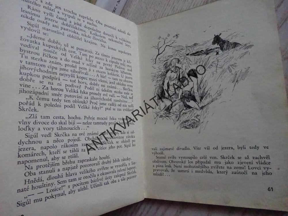 BRONZOVÝ POKLAD, EDUARD ŠTORCH, **an
