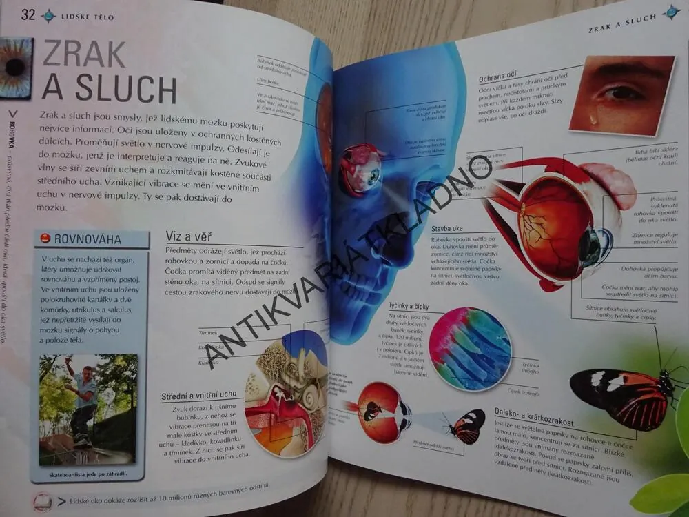 LIDSKÉ TĚLO, TKÁNĚ A ORGÁNY, TĚLESNÉ FUNKCE, **an