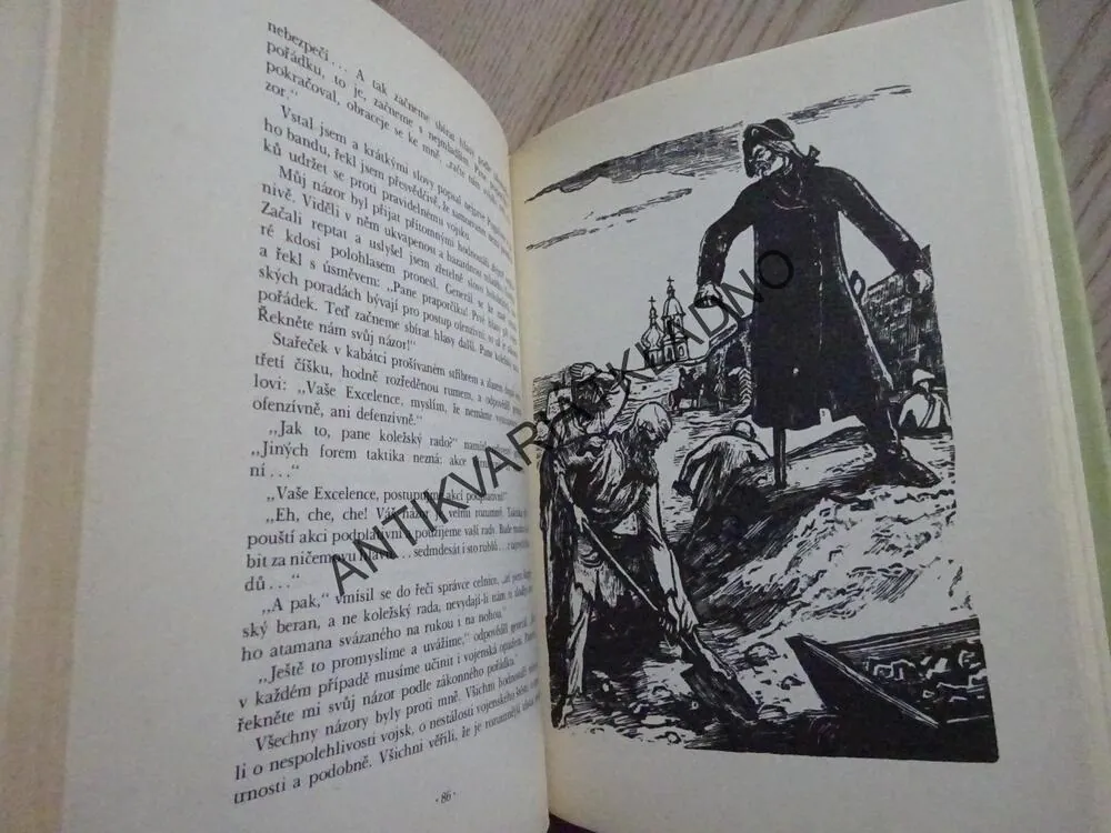 KAPITÁNSKÁ DCERKA, A. S. PUŠKIN, **an