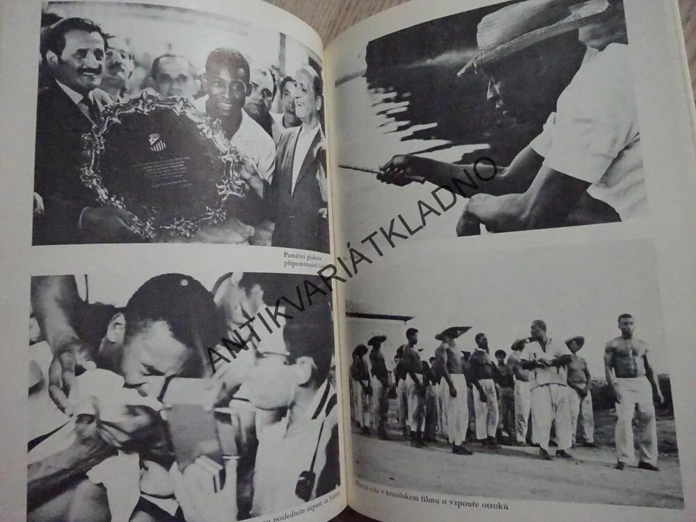 PELÉ, MŮJ ŽIVOT A NEJKRÁSNĚJŠÍ HRA, ROBERT L.FISH, **an