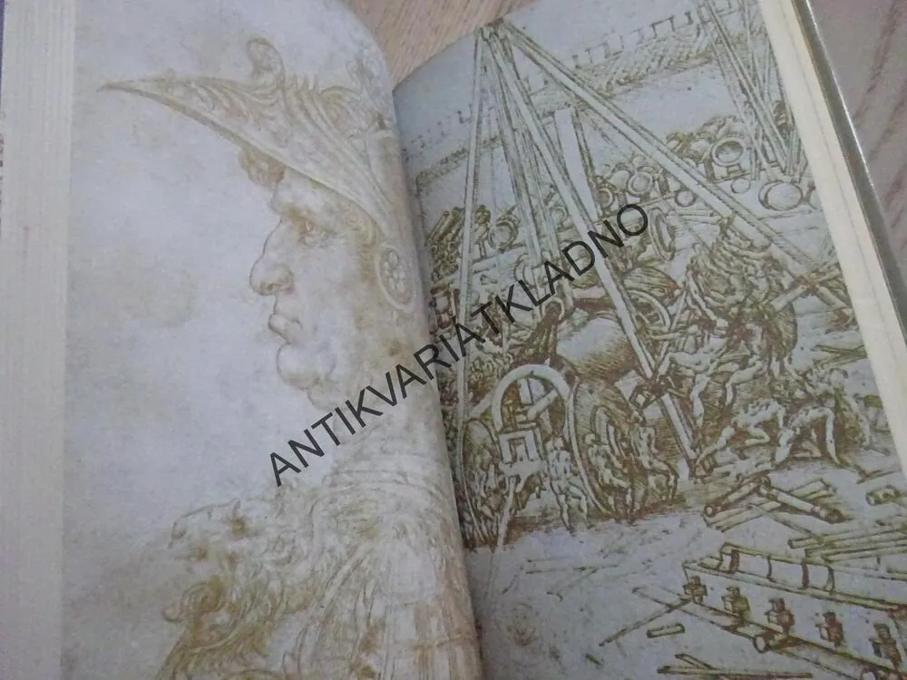 MUŽ Z VINCI, FRANTIŠEK JÍLEK, LEONARDO DA VINCI, VÝTVARNÉ UMĚNÍ, SLOVENSKY, **an