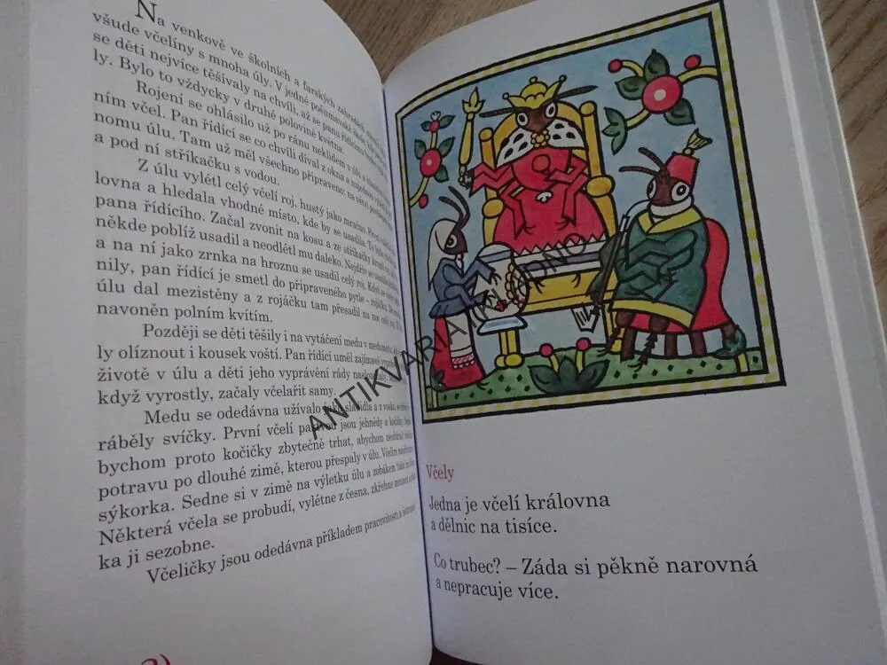 SAVCI, PTÁCI, BROUCI A HMYZ, LADOVY VESELÉ UČEBNICE, LADA, STEHLÍK, **an
