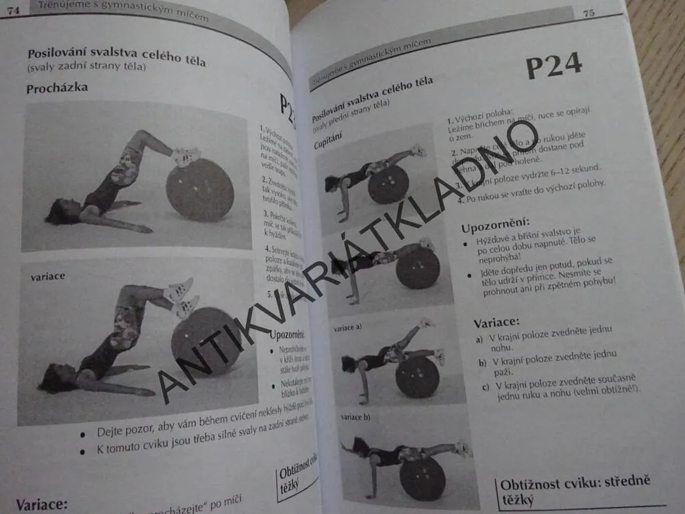 CVIČÍME S GYMNASTICKÝM MÍČEM, SUSANNE THIERFELDEROVÁ, NORBERT PRAXL, **an