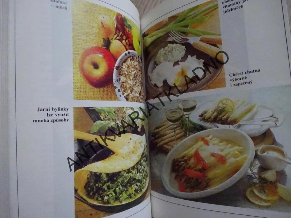 12 MĚSÍCŮ V MODERNÍ KUCHYNI, ALICE PINKOVÁ, **an