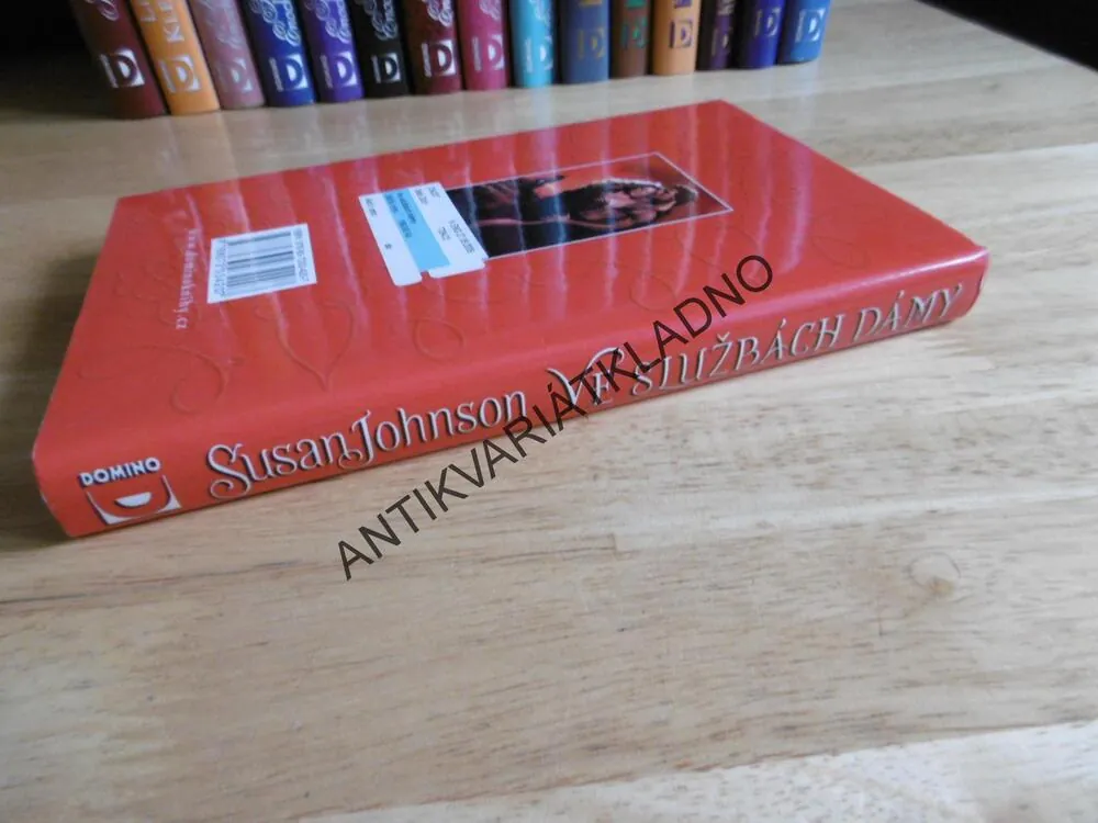VE SLUŽBÁCH DÁMY, SUSAN JOHNSON