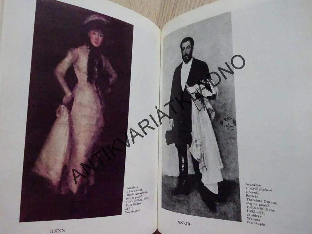 WHISTLER, ŽIVOT MALÍŘE, STANLEY WEINTRAUB, **an