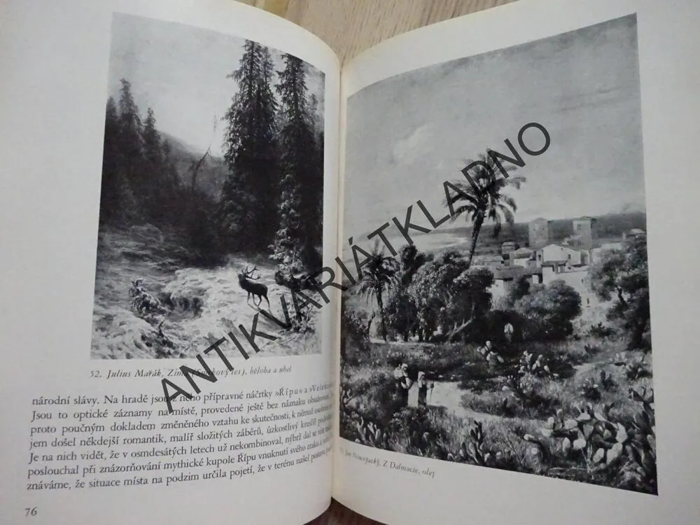 Z OBRAZÁRNY PRAŽSKÉHO HRADU, ČESKÉ MALÍŘSTVÍ XIX, STOLETÍ, **an