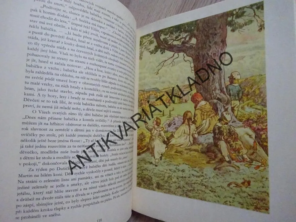 BABIČKA, BOŽENA NĚMCOVÁ, **an