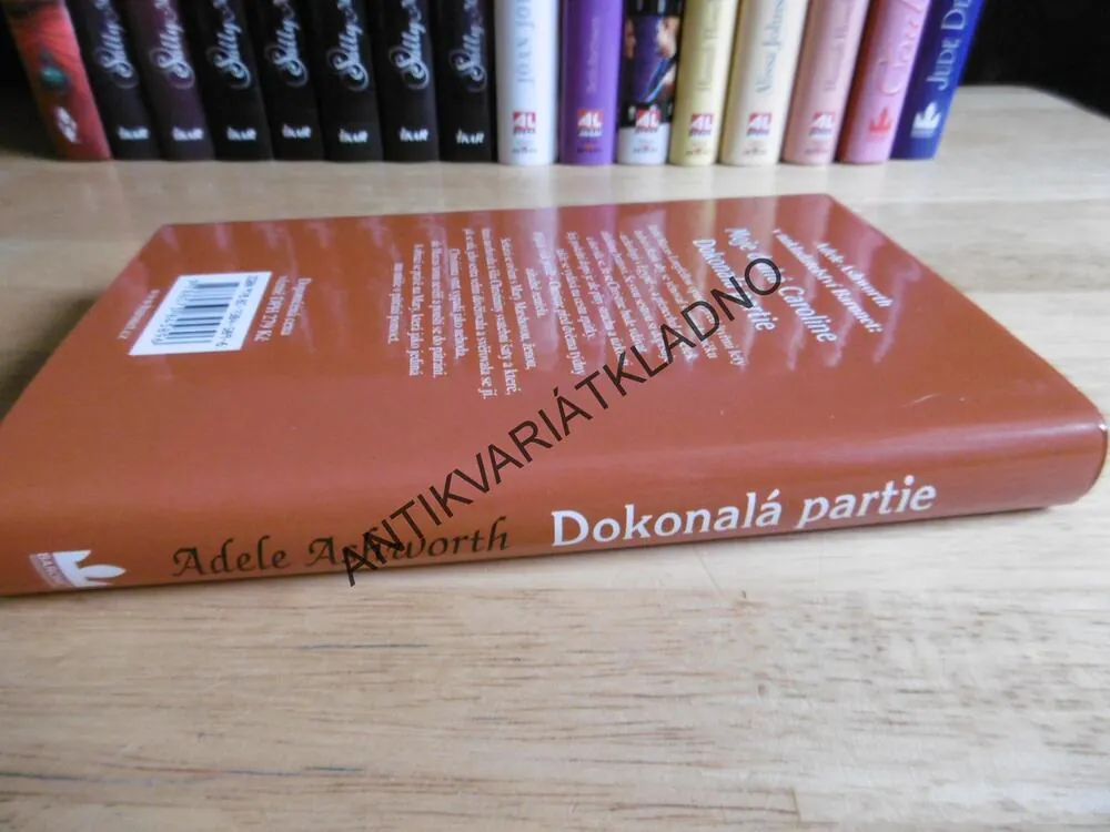 DOKONALÁ PARTIE, ADELE ASHWORTH