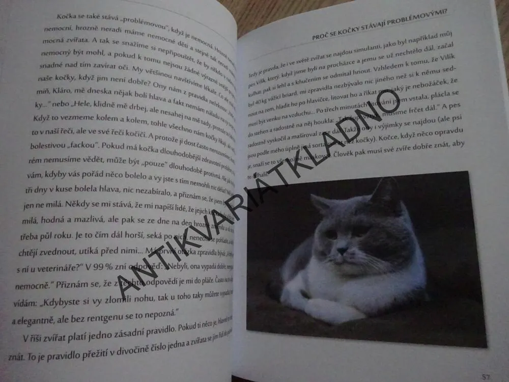 ČLOVĚK V KOČIČÍM SVĚTĚ, KLÁRA NEVEČEŘALOVÁ VODIČKOVÁ, **an