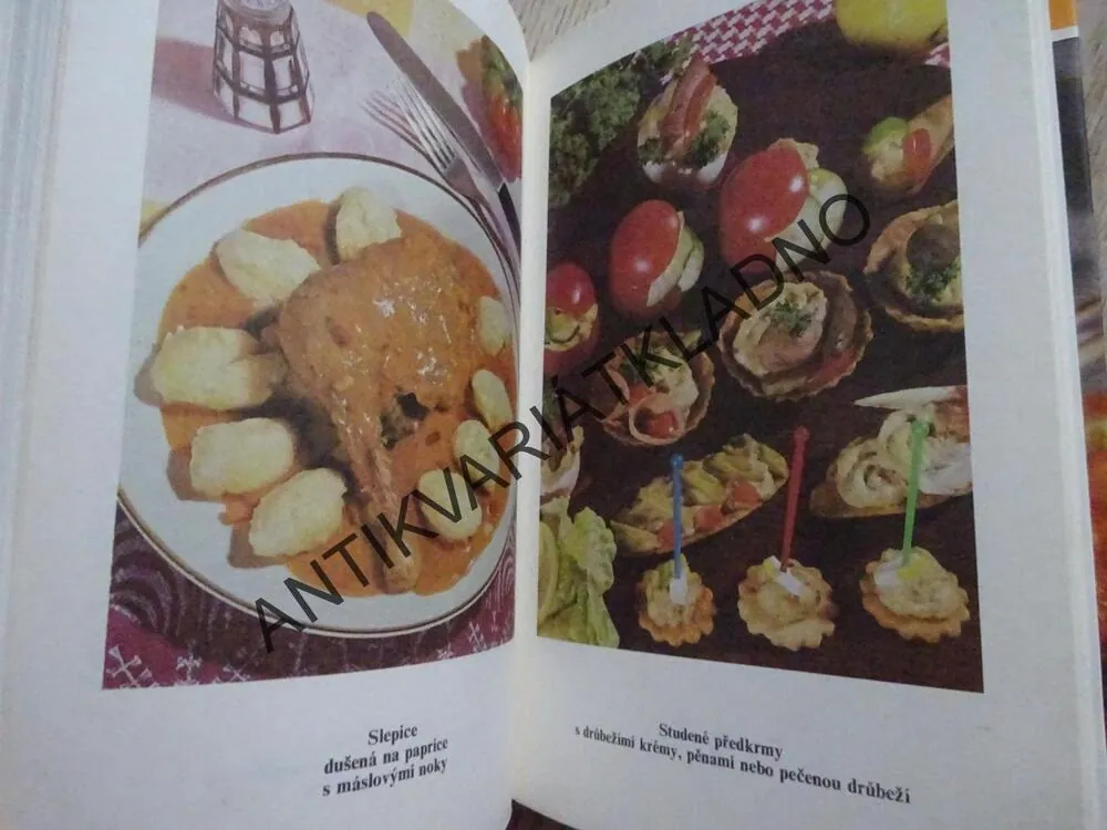 DRŮBEŽ A DRŮBEŽÍ POCHOUTKY, HANA SEDLÁČKOVÁ, **an