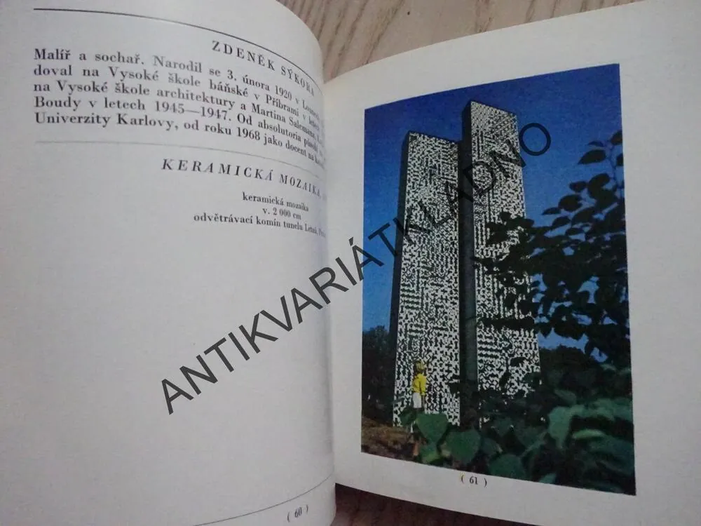 SOUČASNÁ MONUMENTÁLNÍ TVORBA, PAVLA DVORSKÁ, **an