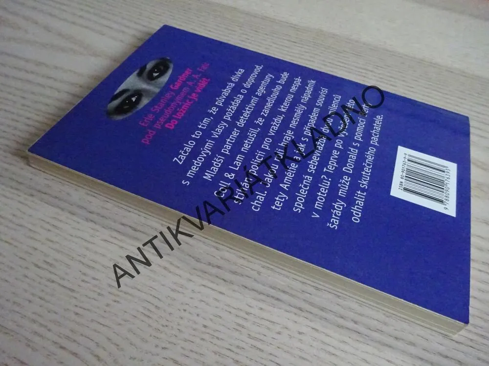 DO LOŽNIC JE VIDĚT, ERLE STANLEY GARDNER, **an