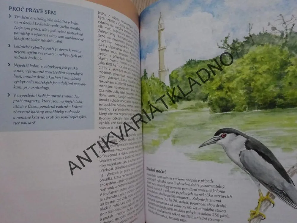 KAM ZA PTÁKY V ČESKÉ REPUBLICE, ALENA KLVAŇOVÁ A KOLEKTIV, **an
