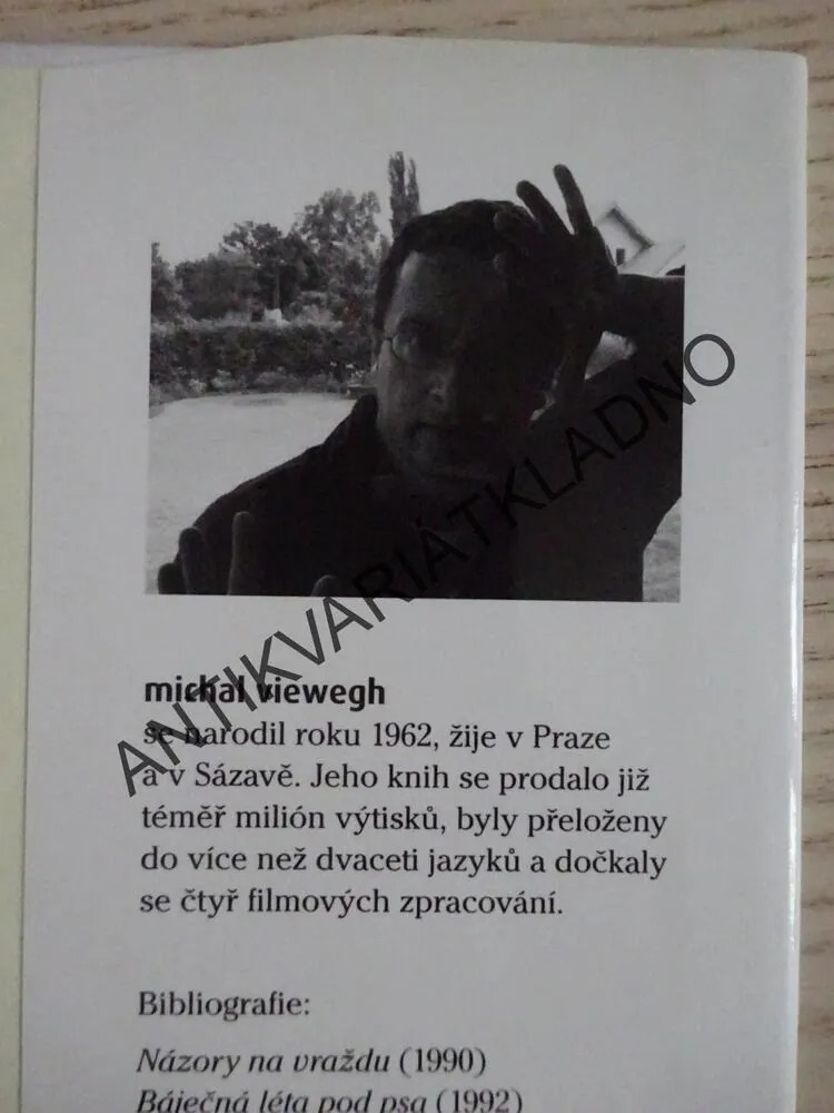 ANDĚLÉ VŠEDNÍHO DNE, MICHAL VIEWEGH, **an