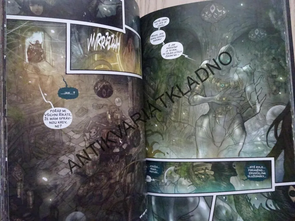 NETVORA, MARJORIE LIU, SANA TAKEDA, **an