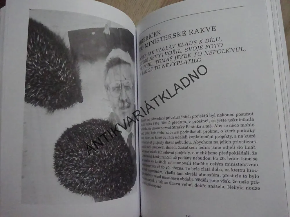 BUDOVÁNÍ KAPITALISMU V ČECHÁCH, ROZHOVORY S TOMÁŠEM JEŽKEM, PETR HUSÁK, **an