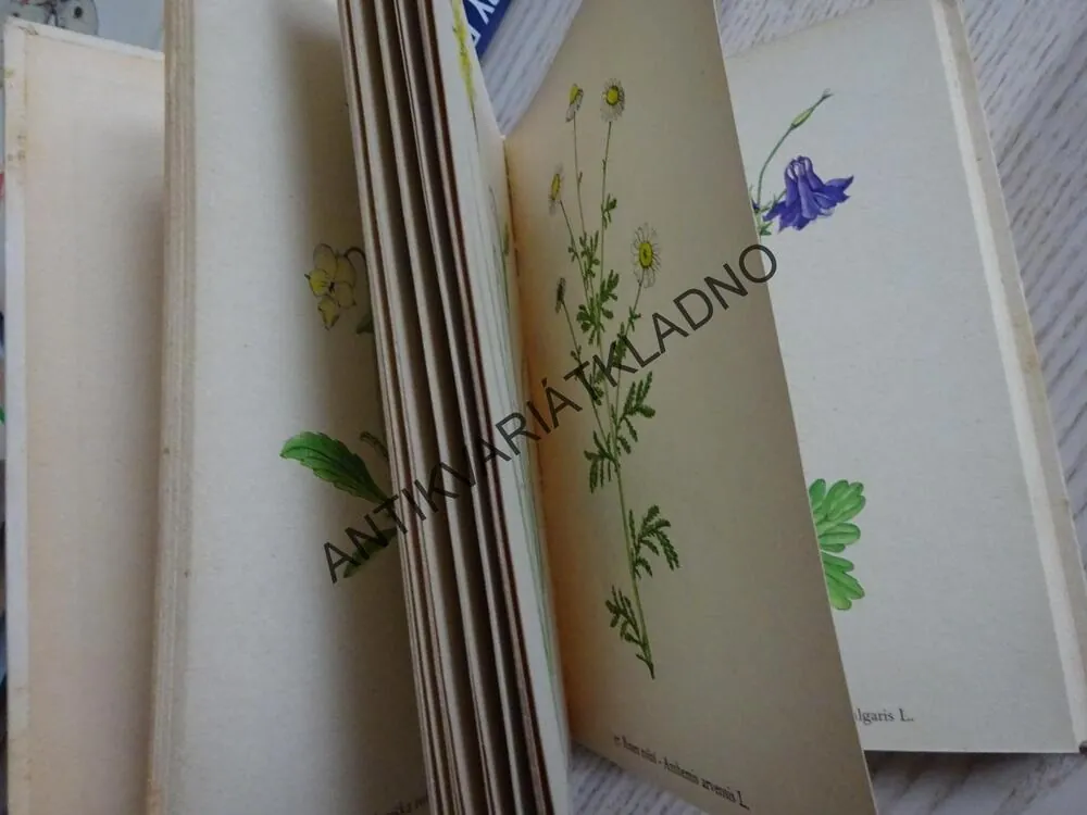 ROSTLINY 1, FRANTIŠEK A. NOVÁK, KAREL SVOLINSKÝ, **an