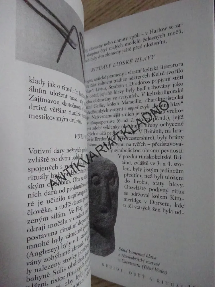 KELTSKÉ MÝTY, MIRANDA JANE GREENOVÁ, **an