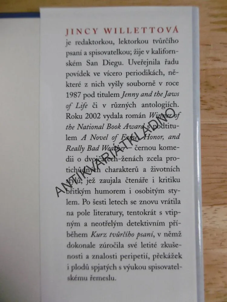 KURZ TVŮRČÍHO PSANÍ, DETEKTIVNÍ ROMÁN, JINCY WILLETTOVÁ, **an