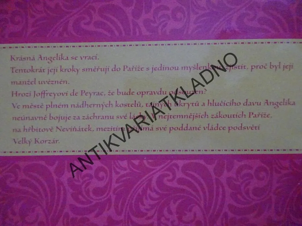 ANGELIKA, POPRAVENÝ U NOTRE-DAME, 4. DÍL, ANNE GOLON, **an