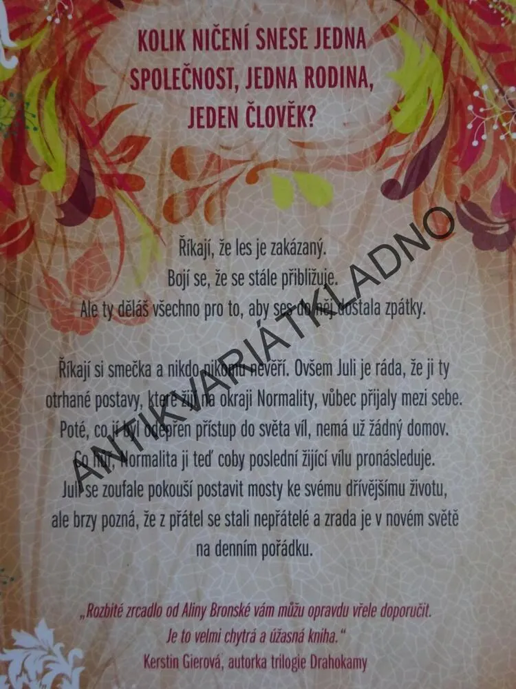 ROZBITÉ ZRCADLO, ALINA BRONSKY, **an