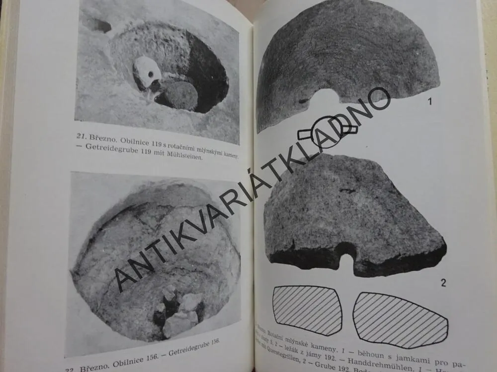BŘEZNO, IVANA PLEINEROVÁ, **an