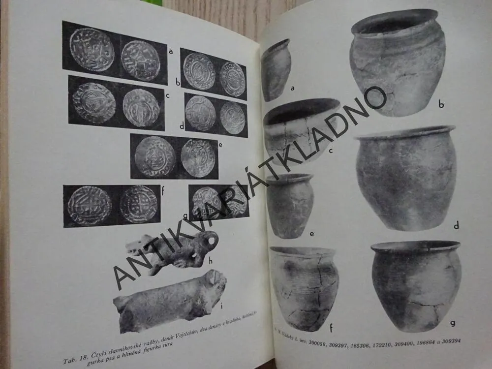 LIBICE, KNÍŽECÍ HRADISKO X. VĚKU, PRŮVODCE PRAVĚKEM, **an