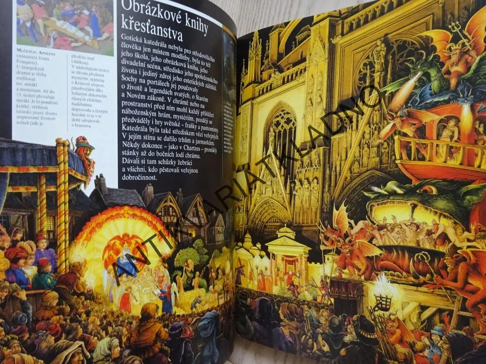 VE STÍNU STŘEDOVĚKÝCH HRADŮ, TÝM AUTORŮ, **an