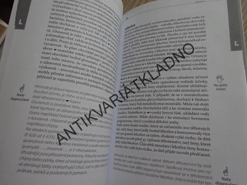 ZDRAVÁ VÝŽIVA PRO TĚHOTNÉ A KOJÍCÍ MATKY, ANNETTE SABERSKY, **an