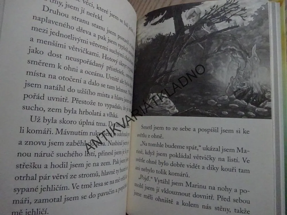 PŘEŽILI JSME! PŘES PALUBU,, TERRY LYNN JOHNSONOVÁ, **an