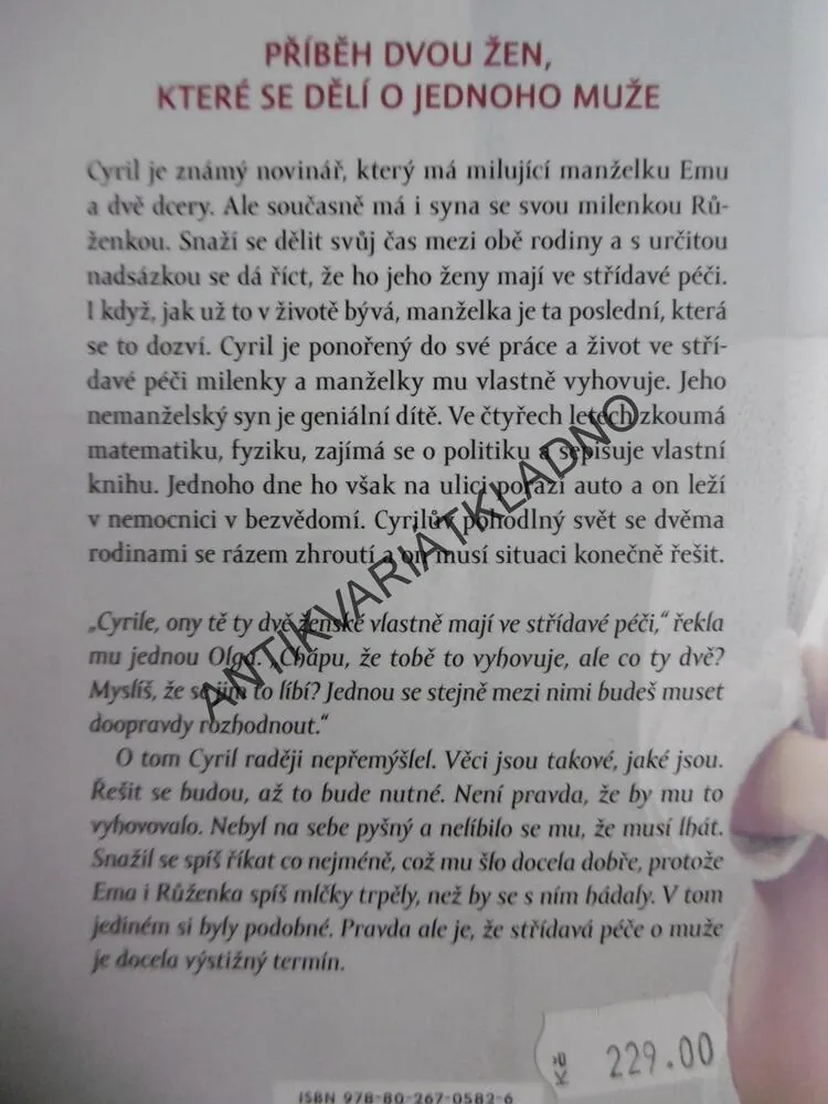 MUŽ VE STŘÍDAVÉ PÉČI, ALENA MÜLLEROVÁ, **an