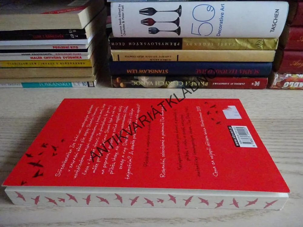 KEČUPOVÁ MRAČNA, ANNABEL PITCHEROVÁ, **an