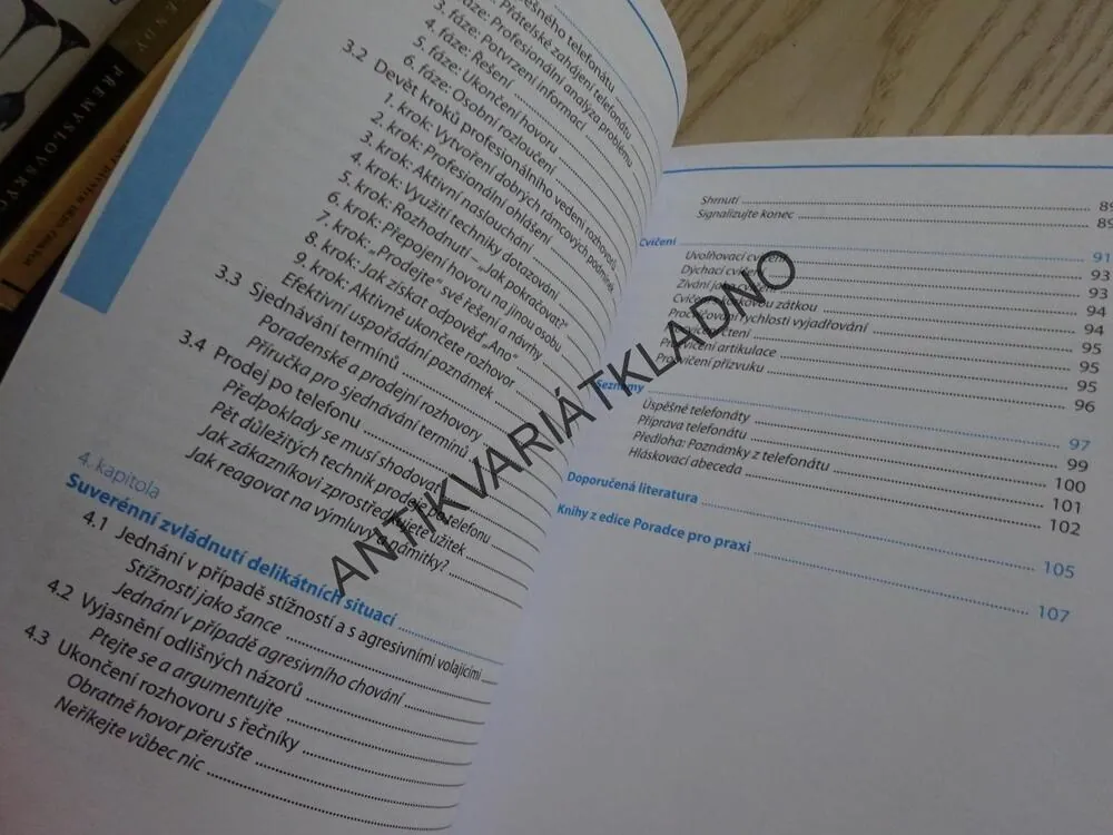 TELEFONUJTE PROFESIONÁLNĚ, HOLGER BACKWINKEL, PETER STURTZ, **an