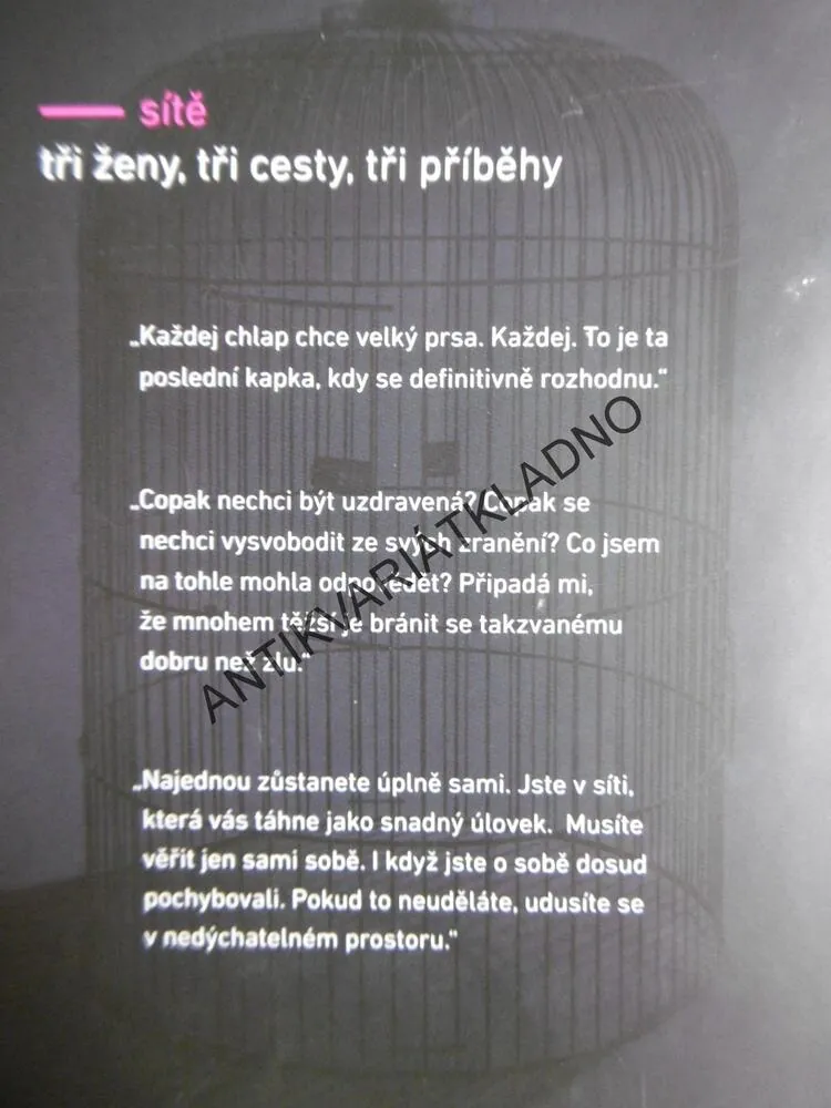 SÍTĚ, PŘÍBĚHY (NE)SEBEVĚDOMÍ, PETRA DVOŘÁKOVÁ