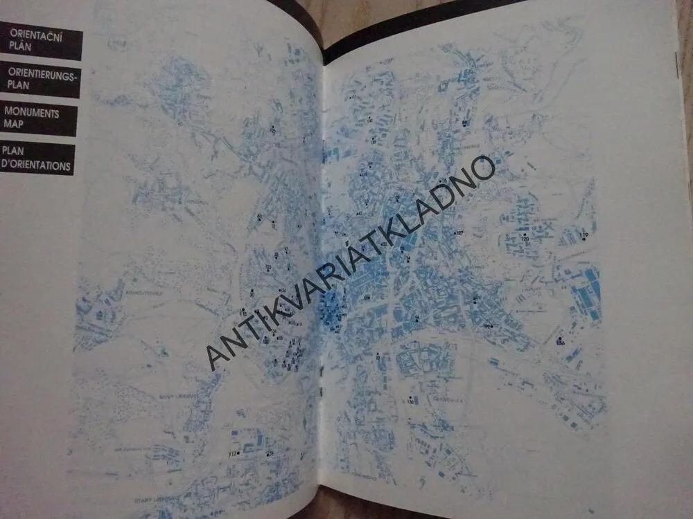 BRNĚNSKÁ ARCHITEKTURA 20. STOLETÍ, DUŠAN RIEDL, **an