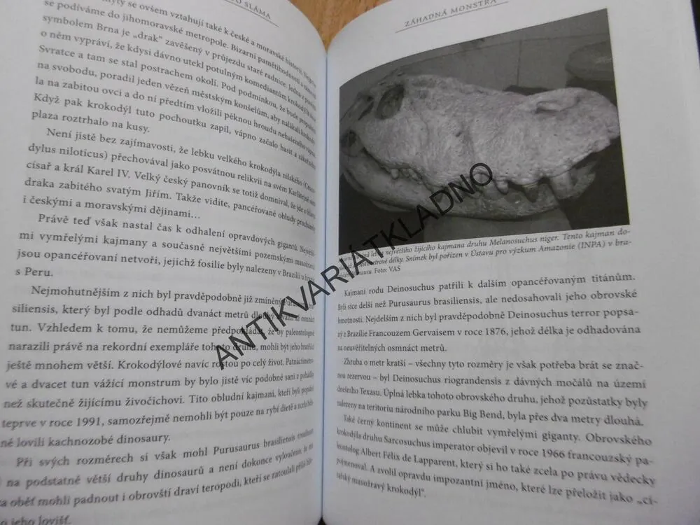 ZÁHADNÁ MONSTRA, VOJTĚCH A.SLÁMA, MÝTICKÉ ZVÍŘATA