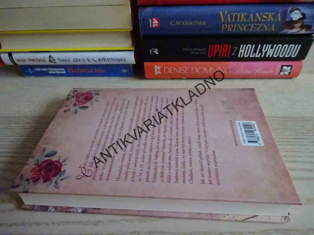 HŘÍCHY MOCNÝCH, EVA AVA ŠRANKOVÁ, **an