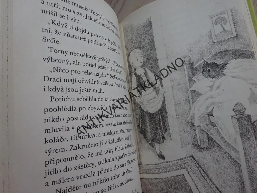 TAJEMNÍ ZACHRÁNCI, BOUŘKOVÝ DRAK, PAULA HARRISONOVÁ, **an