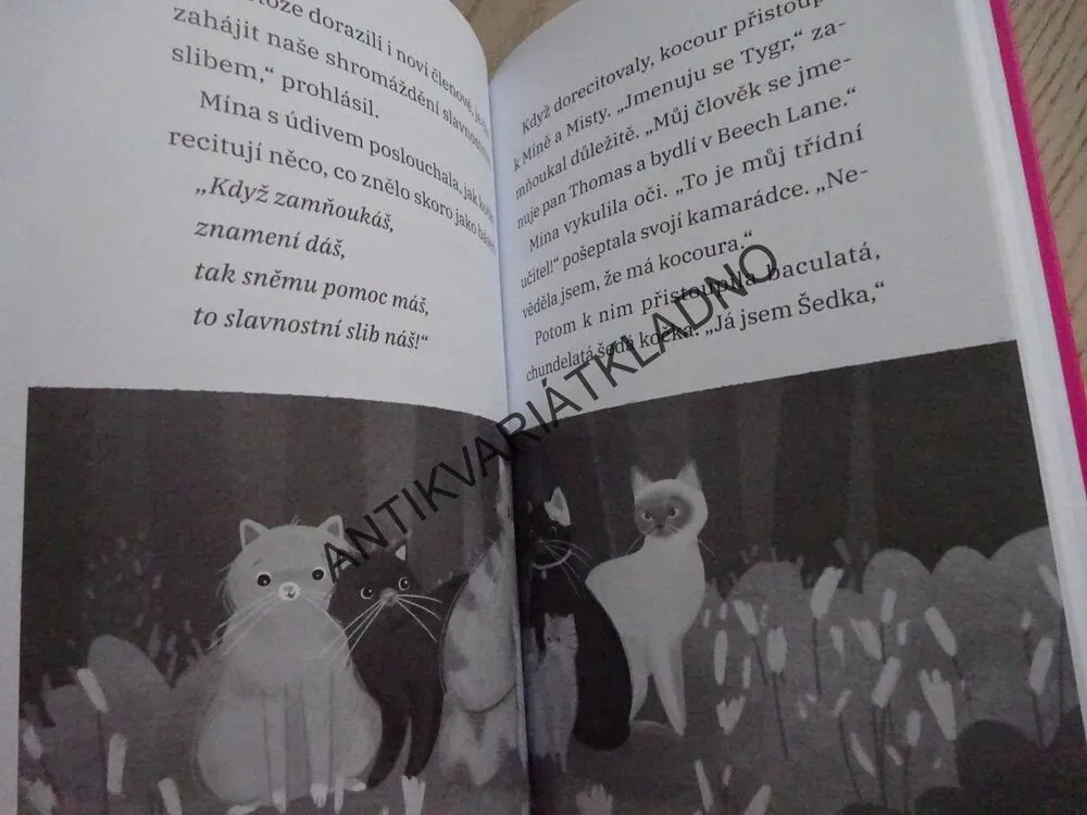 MÍNA A KOČKY, MALÁ MISTY SE BOJÍ, ELLY MOONHEARTOVÁ, **an