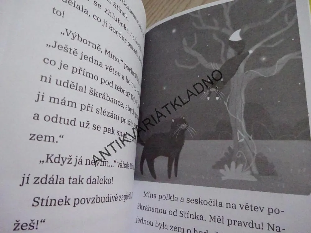 MÍNA A KOČKY, STÍNKOVI JE SMUTNO, ELLY MOONHEARTOVÁ, **an