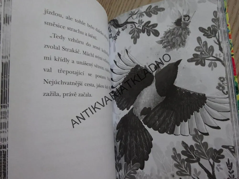 KOUZELNÉ PTAČÍ KRÁLOVSTVÍ, SPÍCÍ KOLIBŘÍCI, ANNE BOOTHEOVÁ, **an