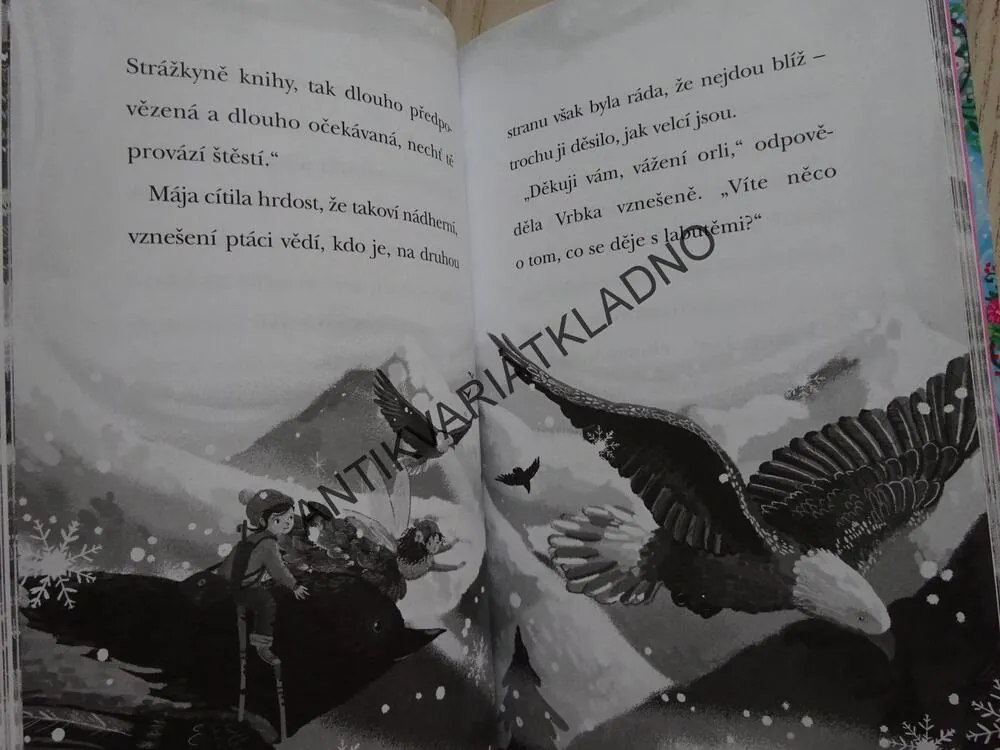 KOUZELNÉ PTAČÍ KRÁLOVSTVÍ, LEDOVÉ PROKLETÍ, ANNE BOOTHEOVÁ, **an
