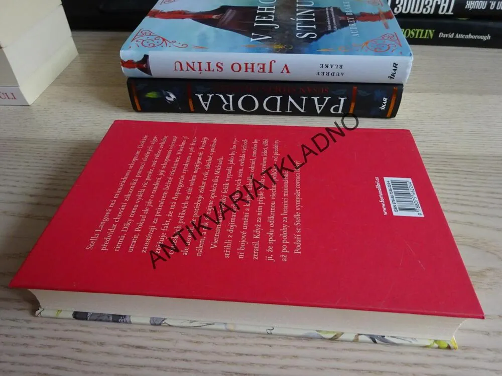 ROVNICE LÁSKY, HELEN HOANGOVÁ, **an