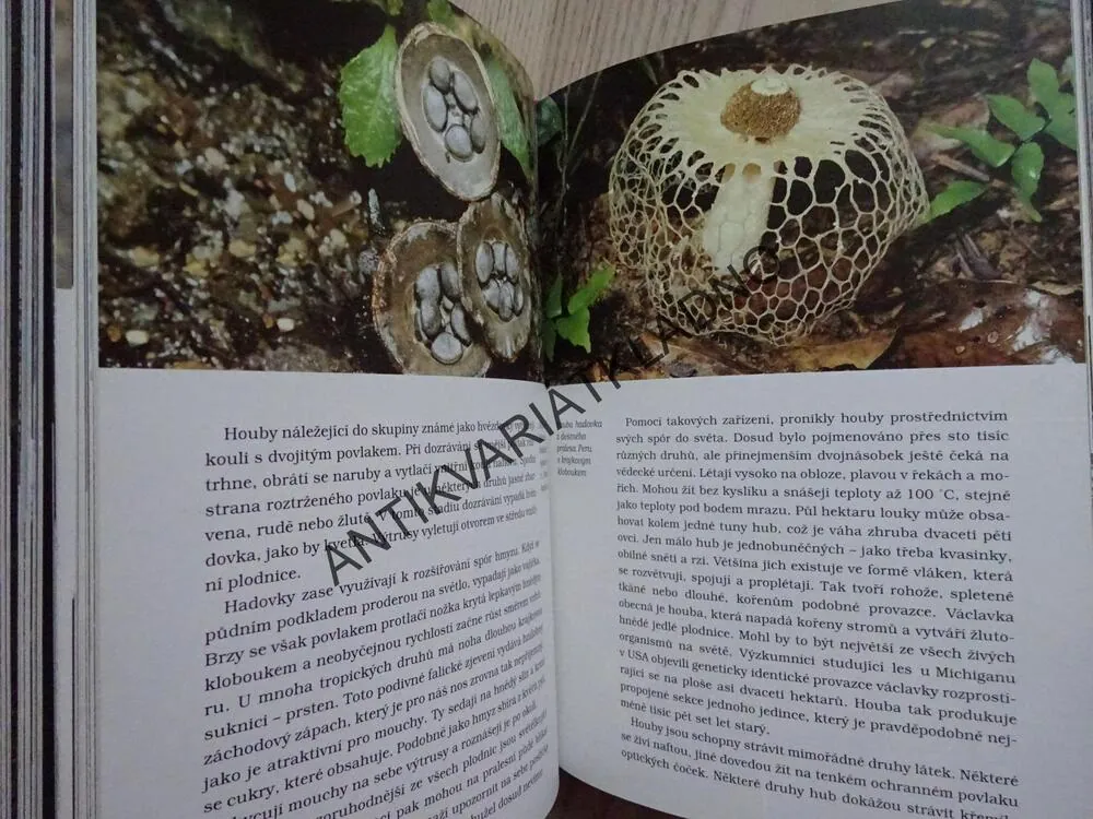 SOUKROMÝ ŽIVOT ROSTLIN, DAVID ATTENBOROUGH