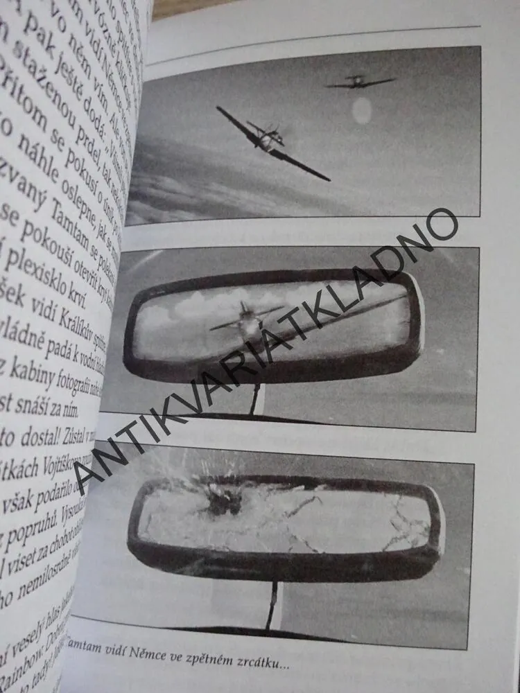 TMAVOMODRÝ SVĚT, ZDENĚK SVĚRÁK, **an