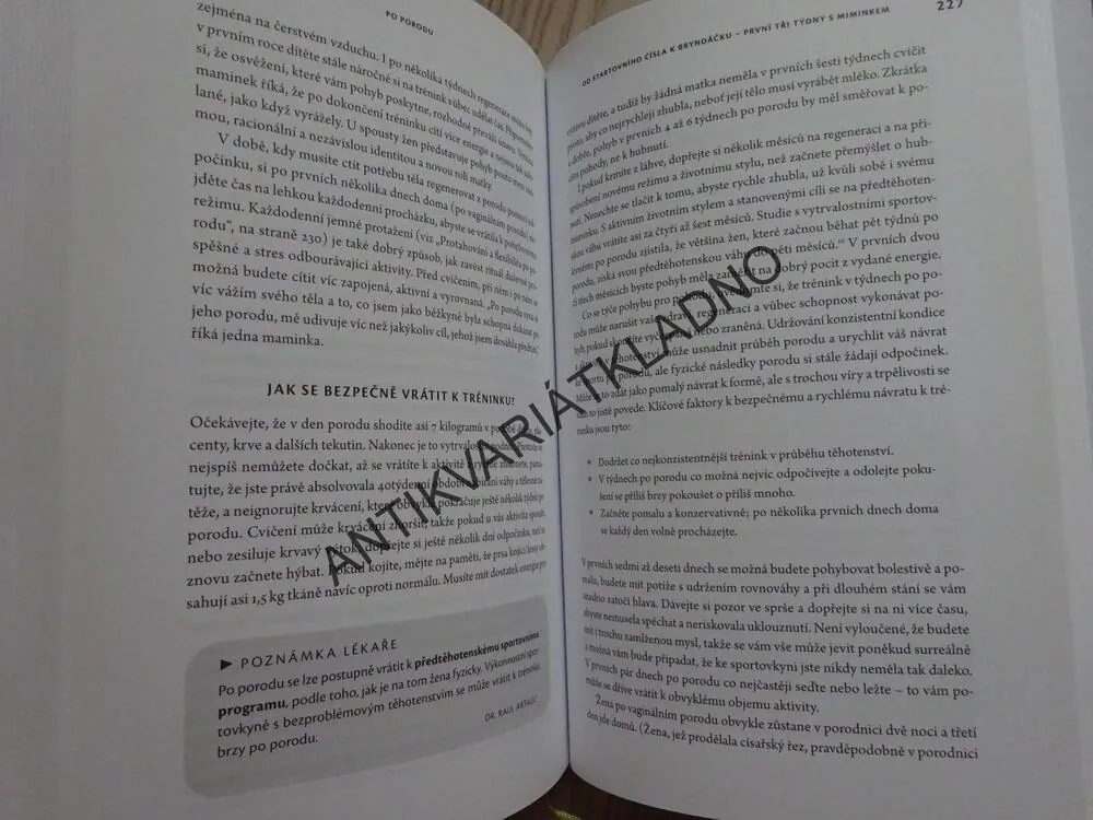 TĚHOTNÁ A FIT, KRISTINA PINTOVÁ, **an