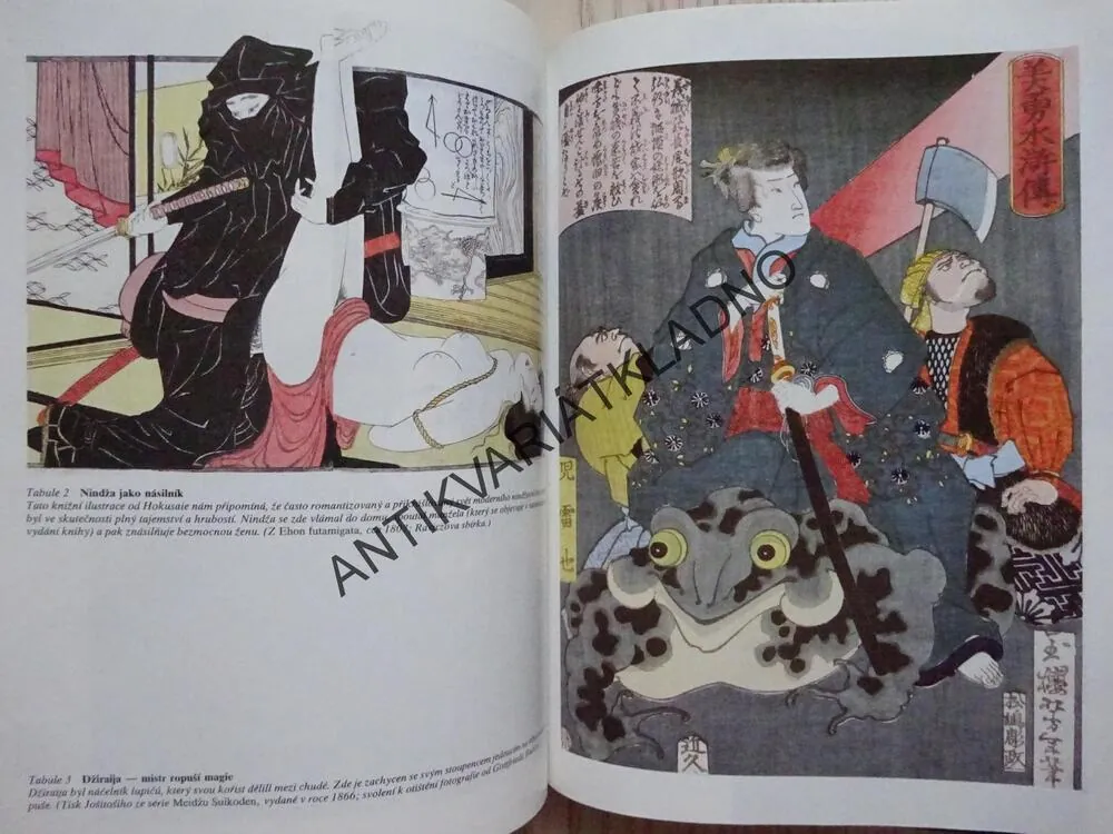 NINDŽA, KULT JAPONSKÉHO TAJNÉHO BOJE BEZ PŘÍKRAS, STEPHEN TURNBULL, **an