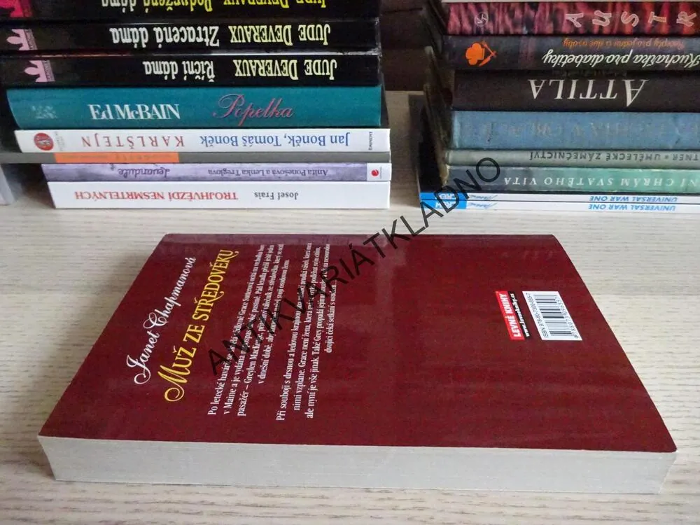 MUŽ ZE STŘEDOVĚKU, JANET CHAPMANOVÁ,**an