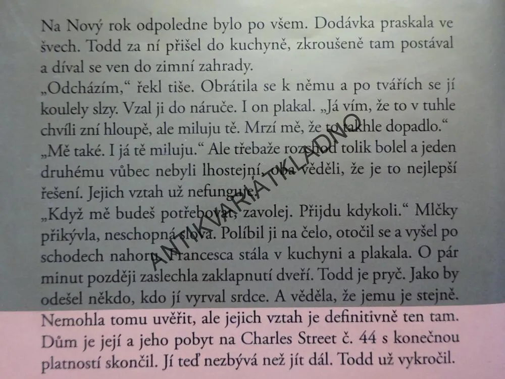 DŮM NA CHARLES STREET, DANIELLE STEELOVÁ, **an